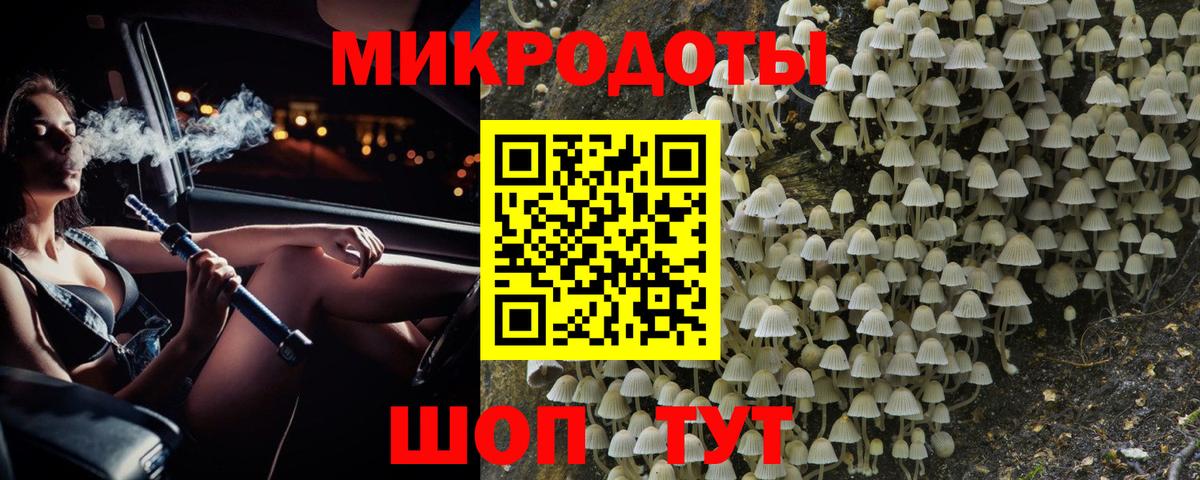 Псилоцибиновые грибы MAGIC MUSHROOMS  Вход с VPN  Саранск 