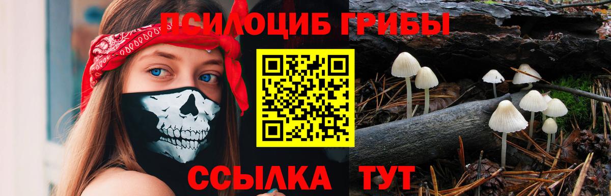 Псилоцибиновые грибы мицелий Саранск